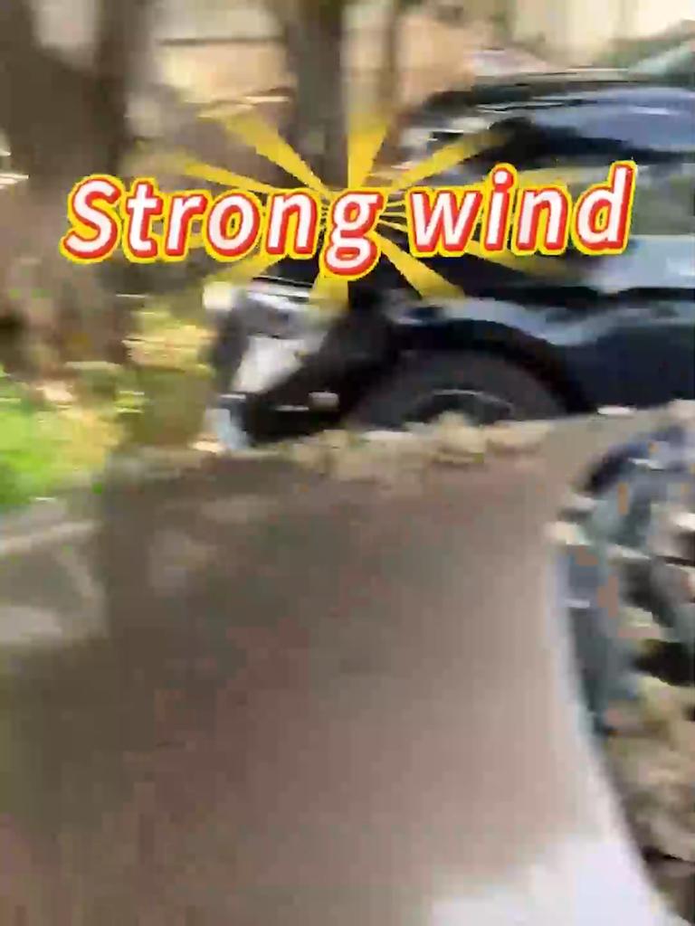 Cleaning Blower Tool Violent Hair Dryer Electric Air Duster Car Accessories Snow Blowing Turbo Jet Fan Strong Blowing Universal 4 Gears Adjustable