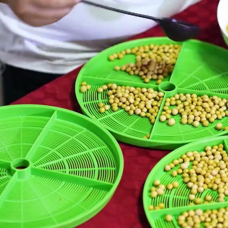 1 Set Bean Sprout Machine Automatic Soaking Rapid Germination Short Cycle US Plug Bean Sprouting Bucket Home Supply