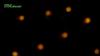 Solar Garden Lights - 10 LED Solar Bee Firefly Lights with 2 Lighting Mode, Sway by Wind, Waterproof Solar Decorative Lights