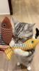 3pcs Pet Teething Toy Fish Design Cat Toy Interactive Durable Cat Chew Toy Plush Pillow Kitten Toy Indoor and Outdoor