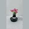 Butterfly Orchid Fake Plant With Plastic And Soft Rubber For Home Decor And Photography Scene Setup