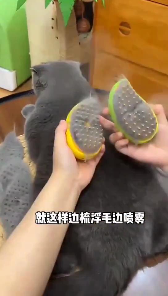Cat Steamy Brush 3 In 1 Grooming Steam Brush Electric Sprayer for Massage Pet Dog Grooming Shedding Hair Cleaning Massage Combs