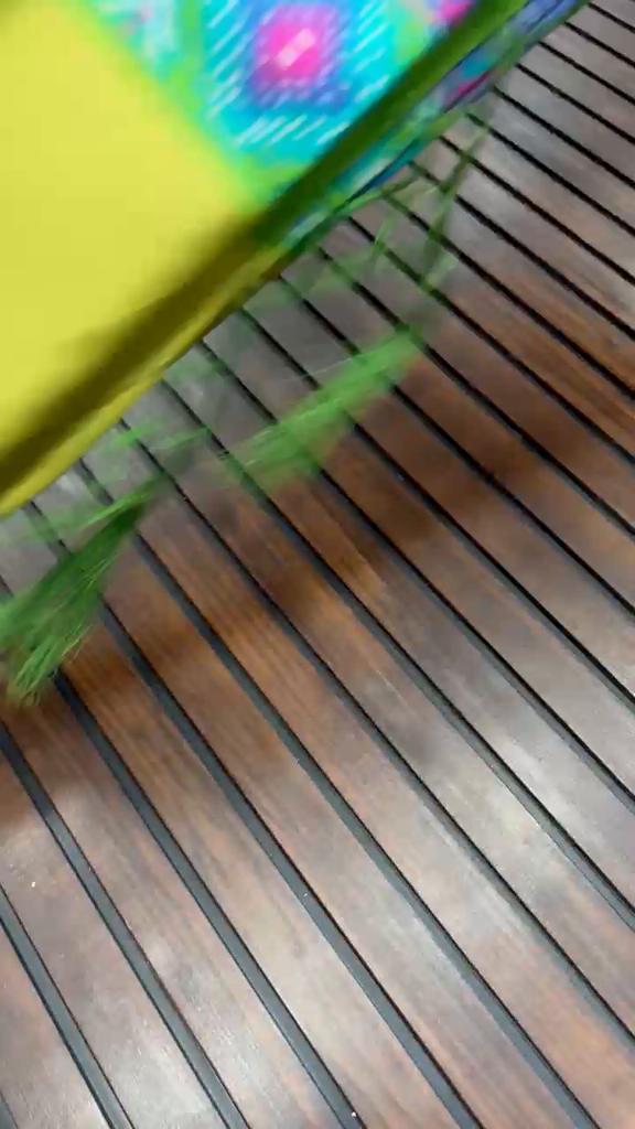 Tussar Silk Lagdi Patta With Kalkota Hand Printing Patola Print In Full Saree With Fancy Tassels In Pallu With Running Blouse