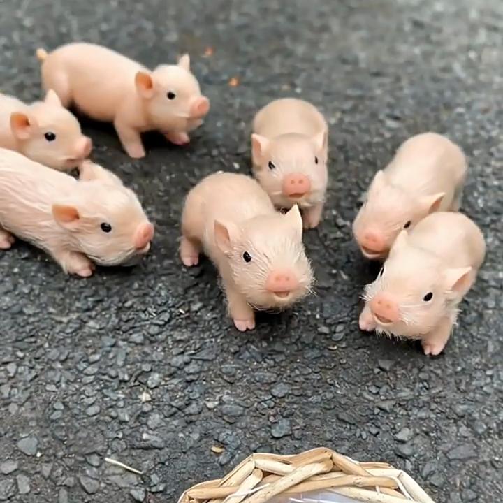 5/6 Inch Silicone Pig Doll Toy Mini Soft Lifelike Silicone Pig Doll Miniature Reborn Silicone Pig With Accessories For Kids Gift