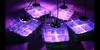 4/5/6 Pack Full Spectrum LED Grow Light with Seedling Tray Plant Seed Starter Trays Greenhouse Growing Lamp Hole 12 Cell Per Tray