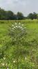 Metal Windmill Creative Courtyard Garden Lawn Decoration Wind Collector Magical Kinetic Energy Metal Windmill Rotator