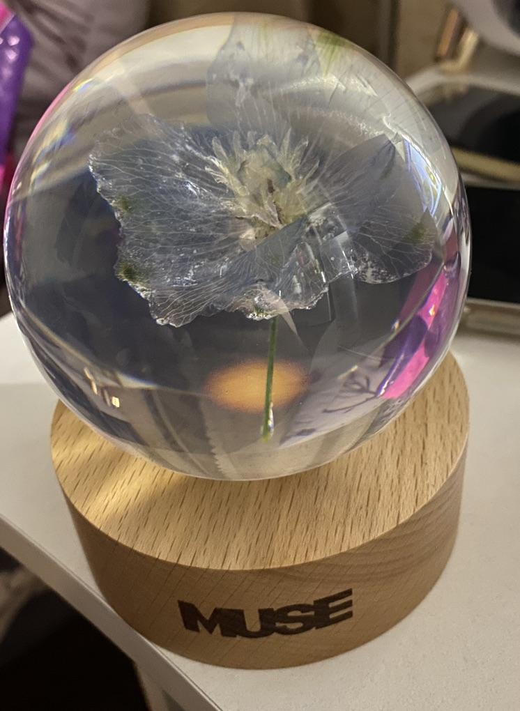 入手困難 BTS JIMIN MUSE PaperWeight Unopened] BTS Jimin Muse BLOOMING ver. Flower Paper Weight