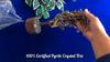 Pyrite Crystal Tree for Money - Money Stone Tree for Wealth, Confidence, Vastu Correction, Positive Energy