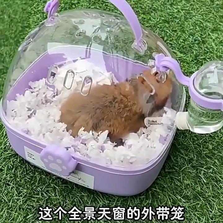 Pet Supplies Hamster Cage Outdoor Cage Transparent Portable Bag
