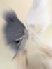 Winter Baby Knitted Hat With Earflaps Solid Color Pompon Beanie Cap Kids Boy Girl Thick Warm Plush Ear Protection Caps