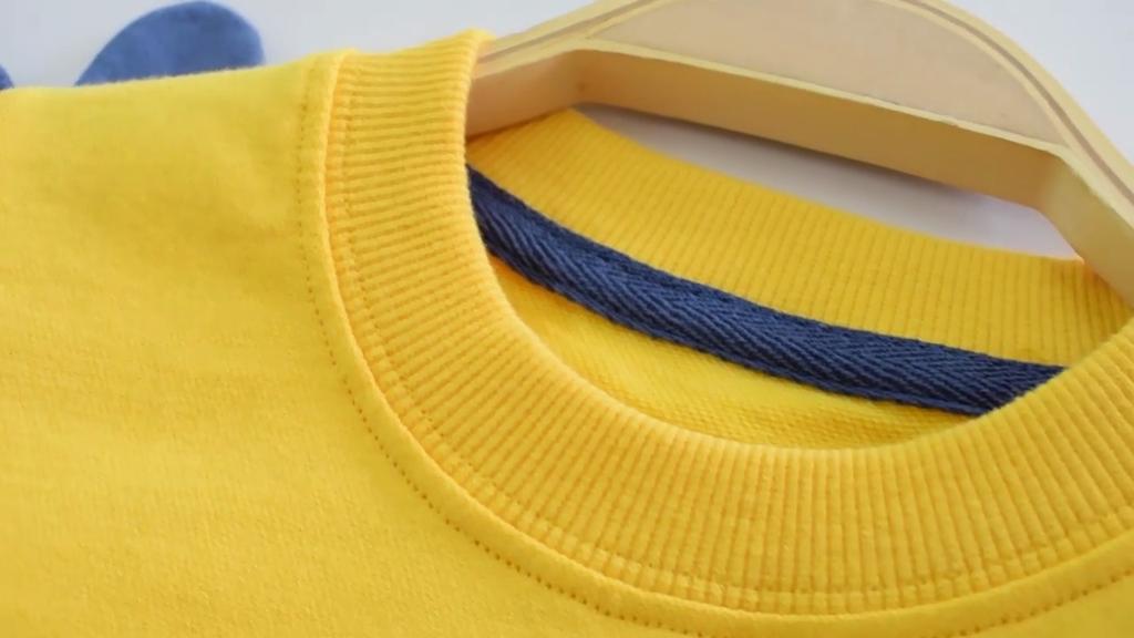 Baby- och småbarnspojkar & -flickor Sweatshirt Pojkar Tecknad Dinosaurie Utan Huva Rundhalsad Sweatshirt Långärmad Pullovertröja