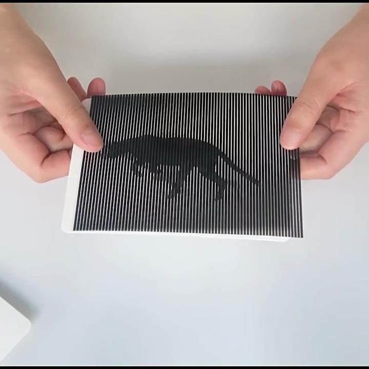 Educational Science Light Diffraction Animation Craft Kit For Children Hands On Science