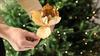 1 Pcs Poinsettia Artificial Flowers Christmas Tree Ornaments Velvet Glitter Magnolia Flowers for Xmas New Year Party Wedding Holiday DIY Decorations,