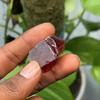 Huge Size 361.30 Ct Natural Ruby Red Rough Uncut CERTIFIED Gemstone Free Gift AM-236