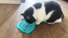 2 Pack Slow Feeder Cat Bowls, Fish-Shaped Silicone Puzzle Kitten Puppy Dog Feeders Non-Slip Design Lick Mat for Healthy Eatting