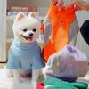 Termiczna odzież dla zwierząt podszyta polarem dla psów i kotów małych ras Corgi Jesień Zima Zimna pogoda Ciepła Wygodna Odzież Aktywna