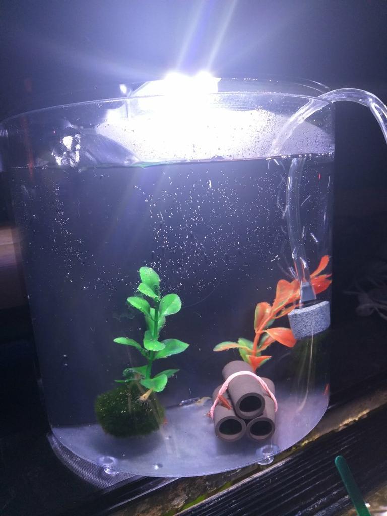 the range fish tanks