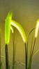 Setaria Viridis Garden Lawn Light Solar Powered LED Simulated Flower Outdoor Lamp Waterproof Decoration Courtyard Ground Lights