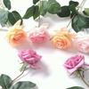 12Pcs Valentine's Day Simulation Flower Feel Moisturizing Rose MEIHON Home Life Home Decoration Table Decoration Gift