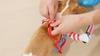 Cosplay Dog Costume Funny Puppy Clothes For Small Medium Dogs Cats Halloween Party Pet Jumpsuits Schnauzer Beagle Novelty Clothing