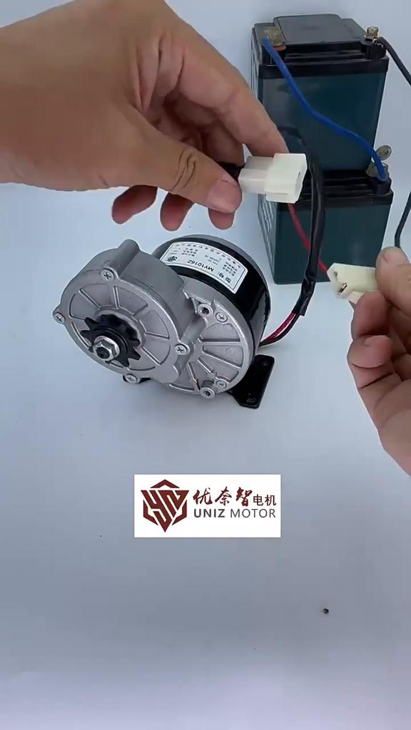 12V 250W Gear Reduction Electric Motor with 9 Tooth Sprocket Brushed DC Motors Reductor for E‑bike Scooter