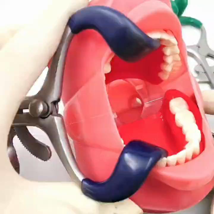 Écarteur De Lèvres Dentaire - Lot De 6, Instruments Orthodontiques, Neuf