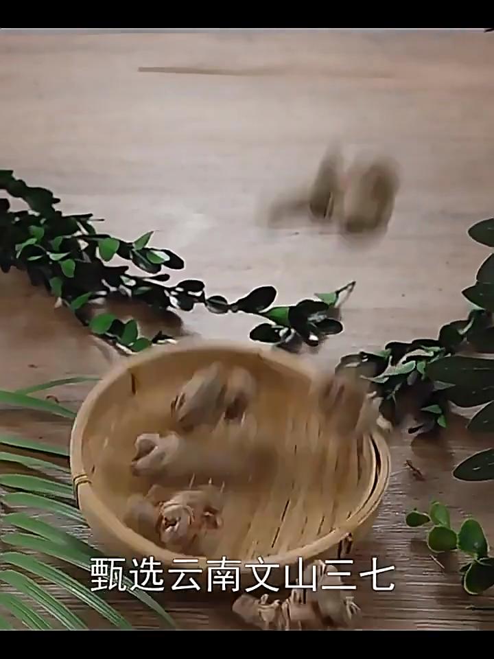 Genuine Delicate Panax Notoginseng Powder Soaked In Water To Make Tea  - 60g