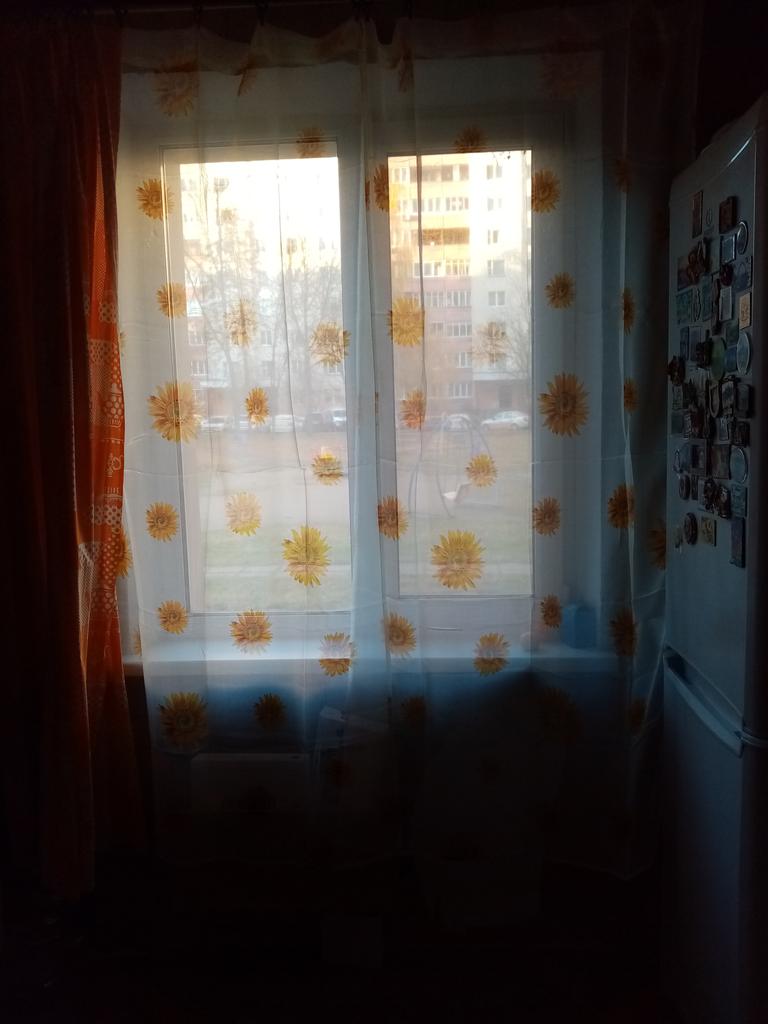 Tende Da Finestra A Pannello Con Girasoli E Farfalle, 2 Pezzi 53,3x114,3 Cm Ciascuno, In Poliestere, Oscuranti E Termiche, Per Camera Da Letto E Soggiorno