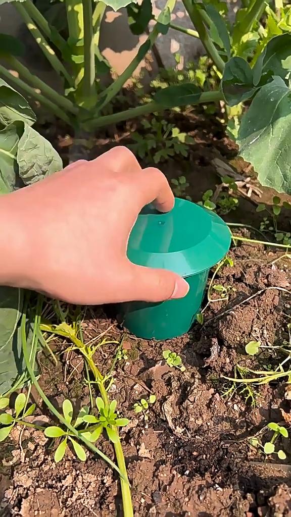 1-5 buc Protector Legume Grădină Fermă Ecologic Limax Casă Dăunători Melc Capcană Bere Reutilizabilă Stație Momeală Control Dăunători Unelte