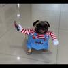 Funny Halloween Pet Dog Cosplay Costume with Wig & Foam Toy Knife, Cute Transformed Outfit for Small Medium Dogs Holiday Party