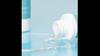Benton PHA Peeling Toner 150ml