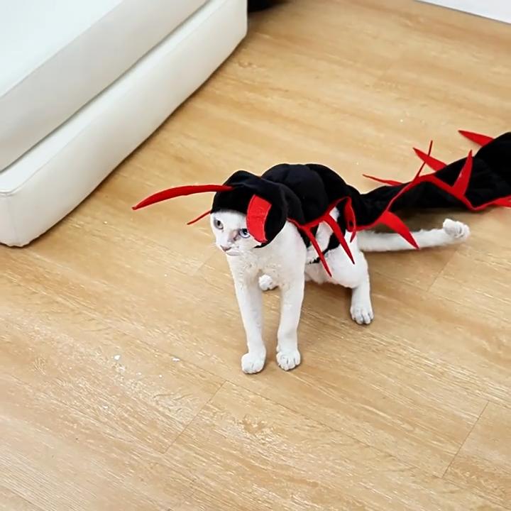 Funny 3D Centipede Pet Costume Halloween Cosplay Adjustable Dress‑up Outfit for Dog Cat Party Photo Decoration