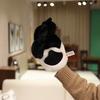 Burattino a Mano Artiglio di Tigre Peluche con Morbido Peluche Corto per Cosplay e Idee Regalo