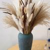 Buquê de flores secas com 115 peças, estilo Boho Chic, grama dos pampas fofa e rabo de coelho - perfeito para decoração de casa, casamentos e festas, acessórios para buquê, decoração de flores