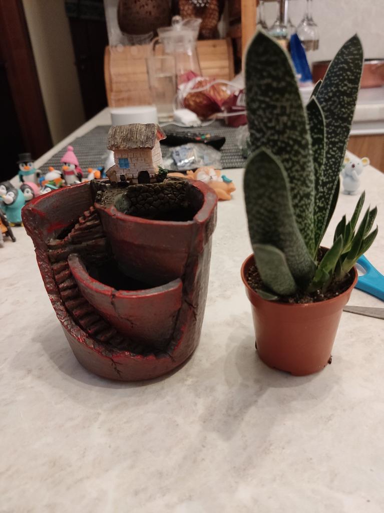 Vaso per fiori a forma di casa, vaso per piante grasse, per vasi decorativi da giardino, per la casa e il desktop – acquista a prezzi convenienti sul marketplace