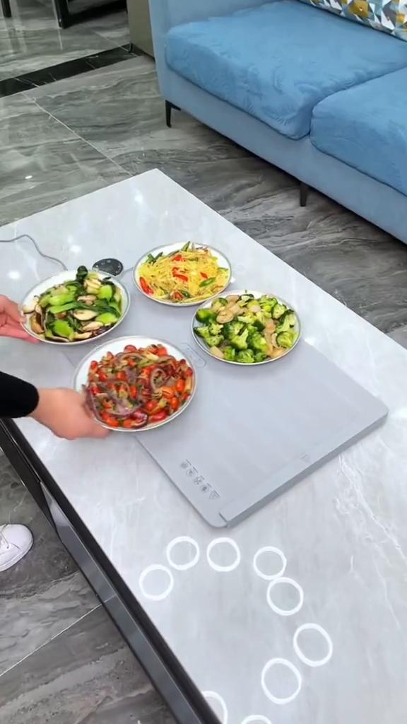 2024 Electric Warming Food Tray Smart Temperature Adjustable Foldable Collapsible Heat Plate Pad