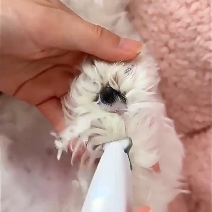 Pet Grooming Clippers LED Assisted Lighting Safe Low Noise USB/Battery Life Pet Beauty Electric Trimmer LED Light Assistance Safe Low Noise