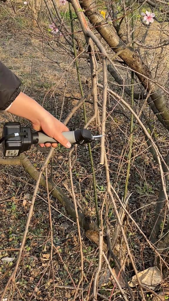NANWEI 30 Mm Electric Scissors, Brushless Motor, 300 W, for Pruning Tree Branches