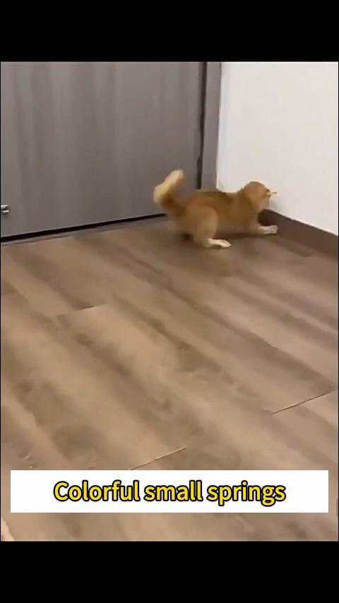 4Pcs Cat Spring Toy  Cat Spiral Toys Interactive for Indoor Colorful Cats Plastic Springs Coil for Kitten Hunting Swatting