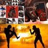 MMA Shorts Bull Muay Thai Kickboxing Sports Training MMA Fighting Boxing Quick Dry Fitness Gym Workout