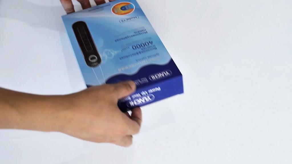 Sonic Electric Toothbrush 8 brush heads for Adult 5 Cleaning Modes USB Charging Power Tooth Brush