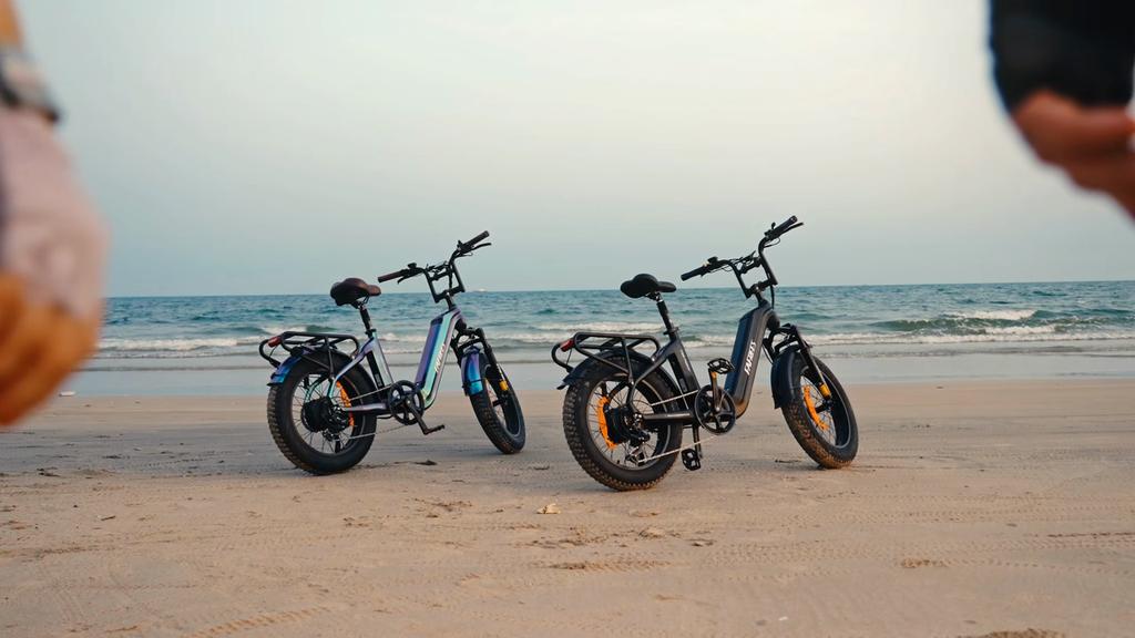 Fafrees F20 Master Electric Bicycle 20" 500W Motor Electric Bike Adult Top Speed 45Km/h 48V 22.5AH Range 160Km Load 150Kg