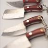Stainless Steel Sharp Mini Kitchen Knife Box Express Unpackage Cutter Keychain Creative Paring Knife Portable Carry EDC Tool