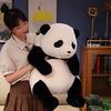 25-50cm Adorable Base Simulation Lifelike Giant Panda FuBao Plush Toys Kawaii Stuffed Animals Soft Bears Baby Appease Doll Gifts