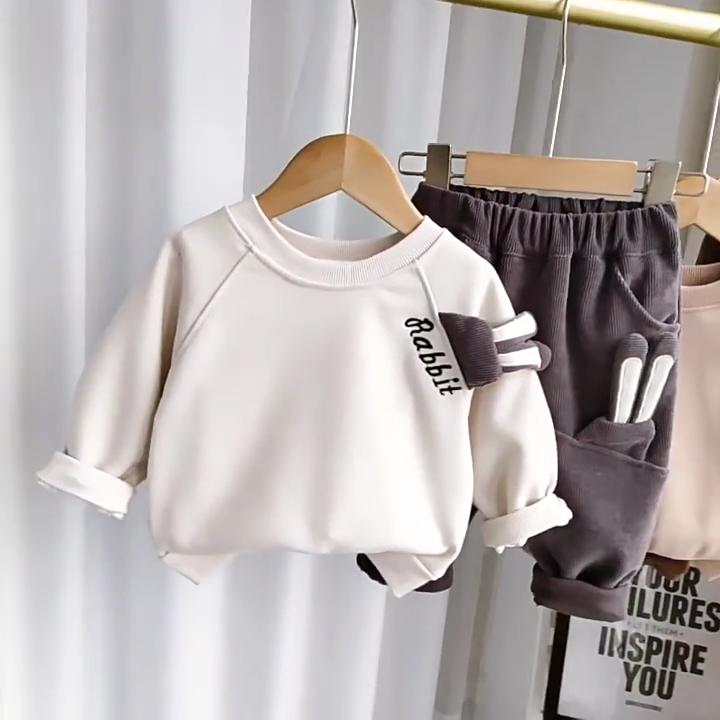 Autumn and Winter Boys Clothing Set New Children's Korean Edition Hooded Sweater Pants Two piece Set Girl Baby Velvet Set