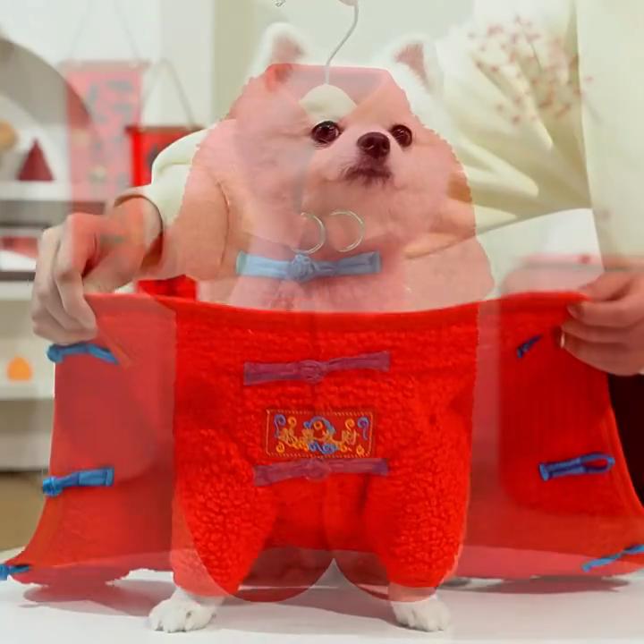 Chinese Style Qipao Pet Coat for Small Dogs - Red Sherpa Dog Jacket with Frog Buttons (Lucky Festive Design)