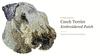 Cesky Terrier, Czech Terrier, Bohemian Terrier – Dog-shaped patch, embroidered patch | Art-Dog