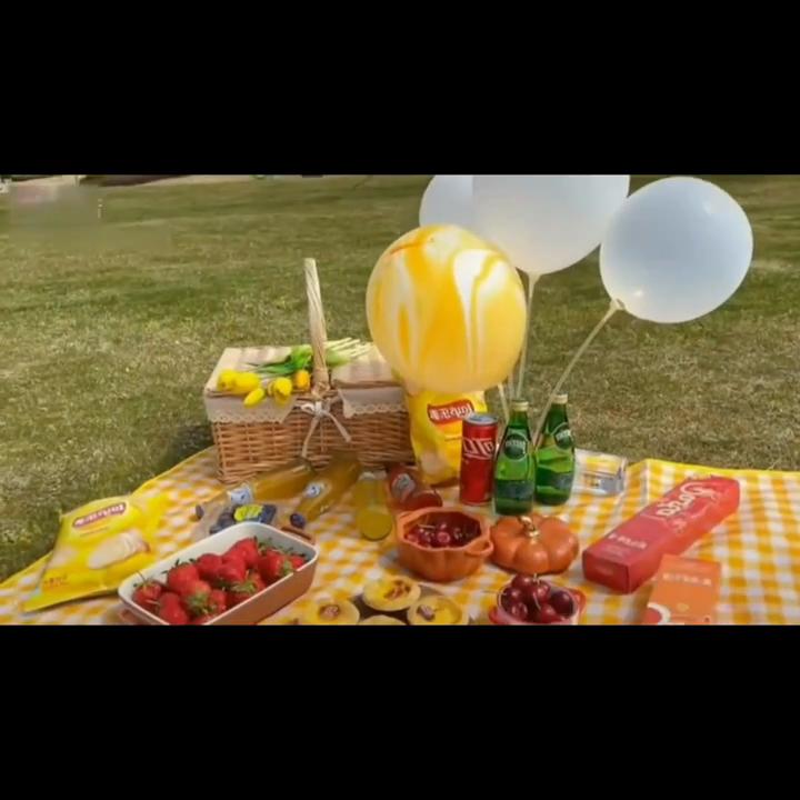 Picnic Blanket Waterproof Beach Rug Washable Lightweight for Hiking Traveling Outdoor Camping Parks