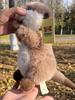 Spielerisches Otter Kuscheltier Plüschtier Weiches Spielzeug Für Mädchen Und Jungen Geschenk