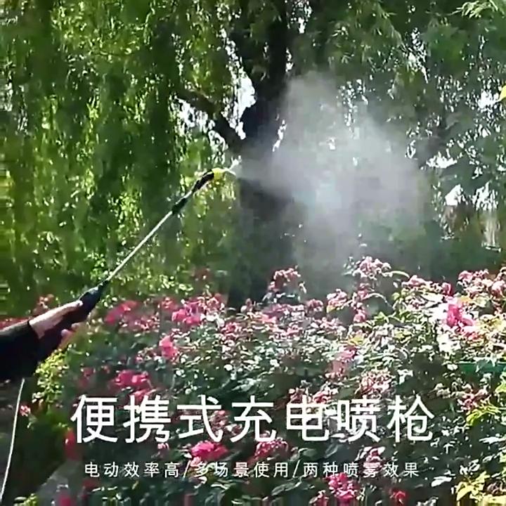 5/8L Battery Powered Sprayer with USB Rechargeable Handle and Retractable Wand Water Sprayer for Garden Lawn and Other Cleaning